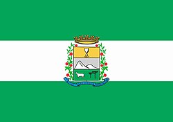 Bandeira de São Joaquim HD
